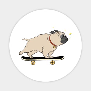 Fluffy Pug Skateboarding Magnet